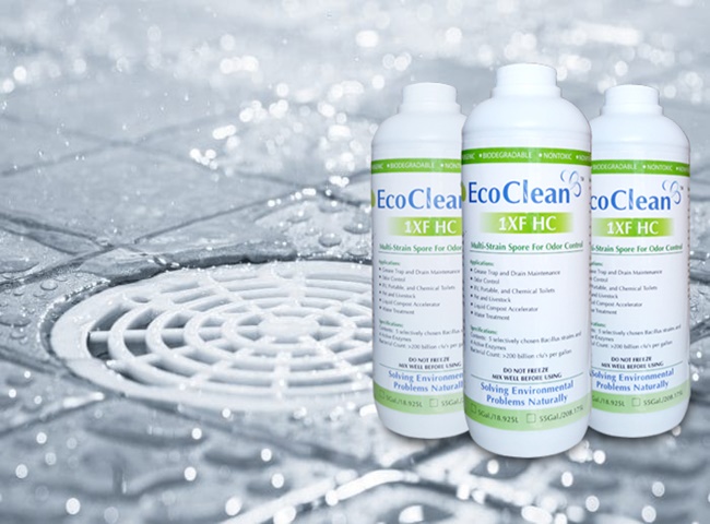 H&oacute;a chất khử m&ugrave;i h&ocirc;i toilet EccoClean