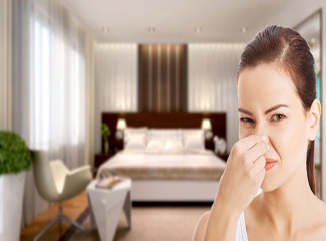 M&ugrave;i h&ocirc;i ẩm mốc trong ph&ograve;ng ngủ do c&aacute;c nguy&ecirc;n nh&acirc;n