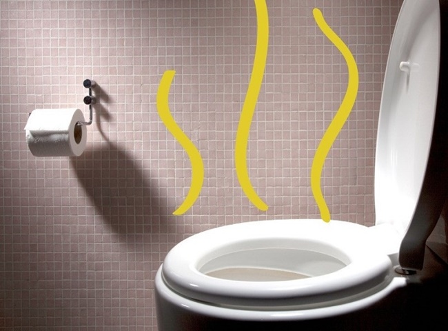 Những nguy&ecirc;n nh&acirc;n dẫn đến hầm cầu bị h&ocirc;i