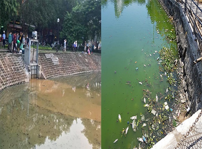 Kh&ocirc;ng kh&iacute; &ocirc; nhiễm do ao hồ l&acirc;u năm